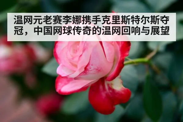 温网元老赛李娜携手克里斯特尔斯夺冠，中国网球传奇的温网回响与展望