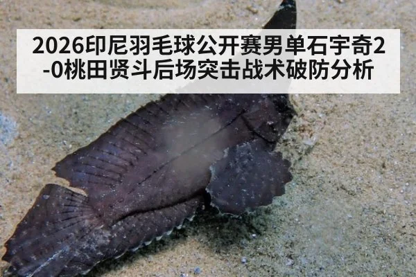 2026印尼羽毛球公开赛男单石宇奇2-0桃田贤斗后场突击战术破防分析