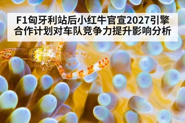 F1匈牙利站后小红牛官宣2027引擎合作计划对车队竞争力提升影响分析